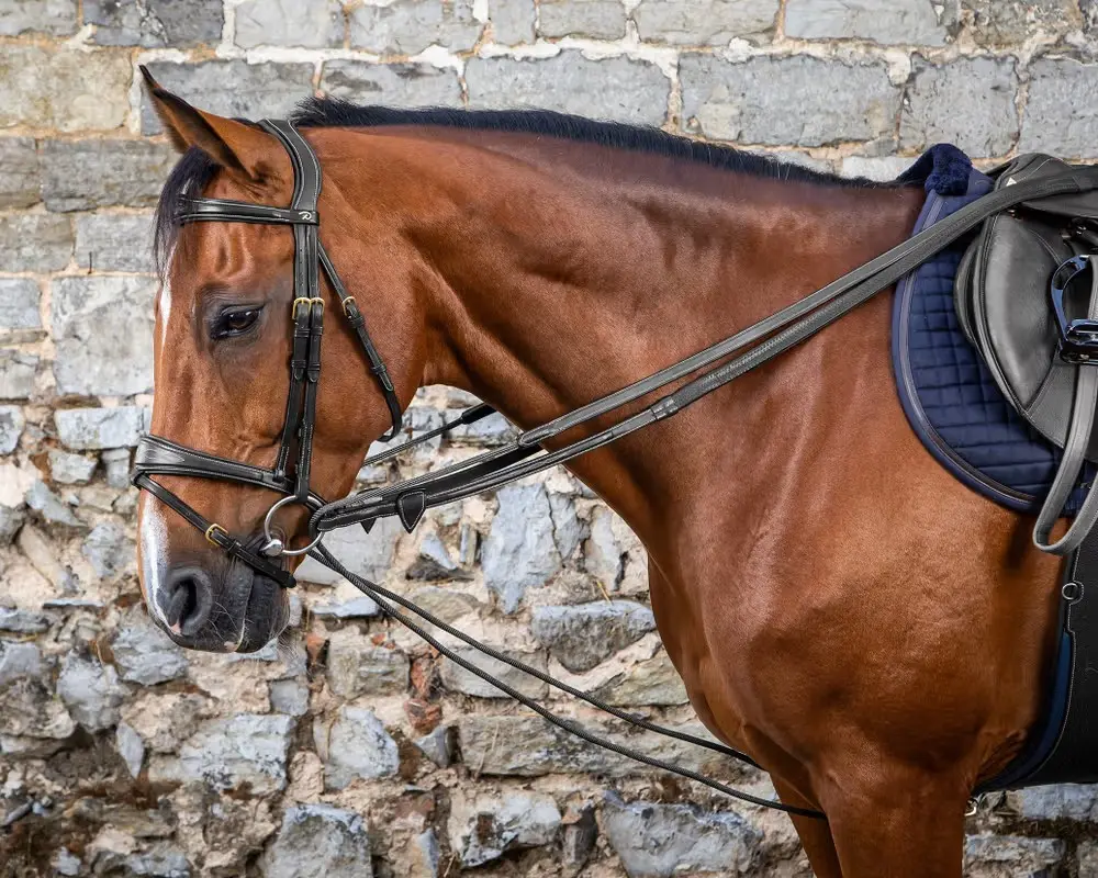 Rênes allemandes cuir plat - Jump'in